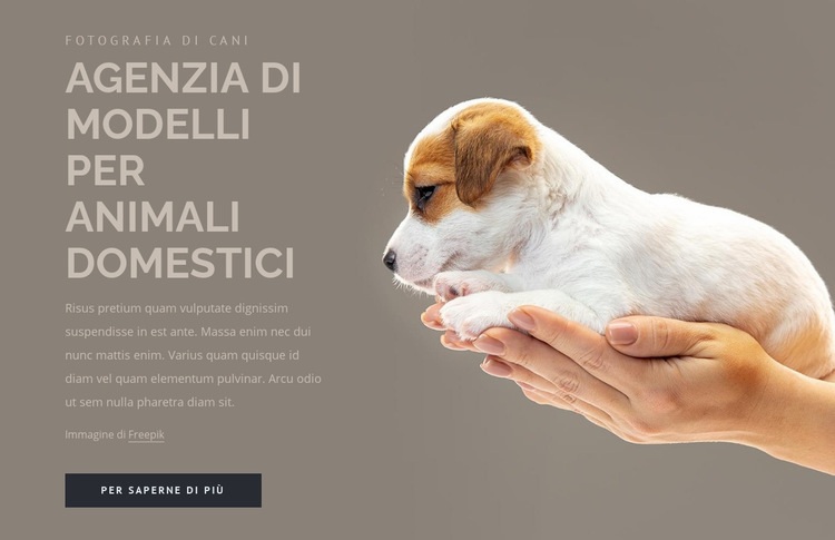 Agenzia di modelli per animali domestici Mockup del sito web