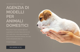 Agenzia Di Modelli Per Animali Domestici Istruzione On-Line