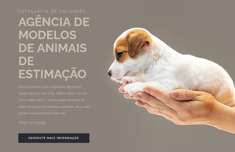 Agência de modelos de animais de estimação Maquete do site