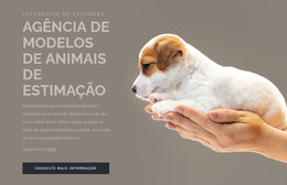 Agência De Modelos De Animais De Estimação - Modelo De Página HTML