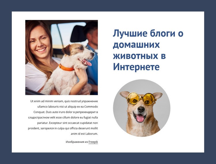 Лучшие блоги о домашних животных Конструктор сайтов HTML
