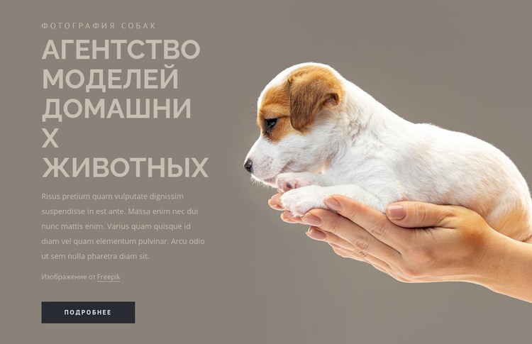 Агентство моделей домашних животных Целевая страница