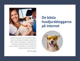 De Bästa Husdjursbloggarna - Nedladdning Av HTML-Mall