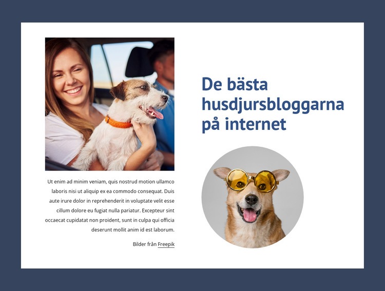 De bästa husdjursbloggarna Webbplats mall