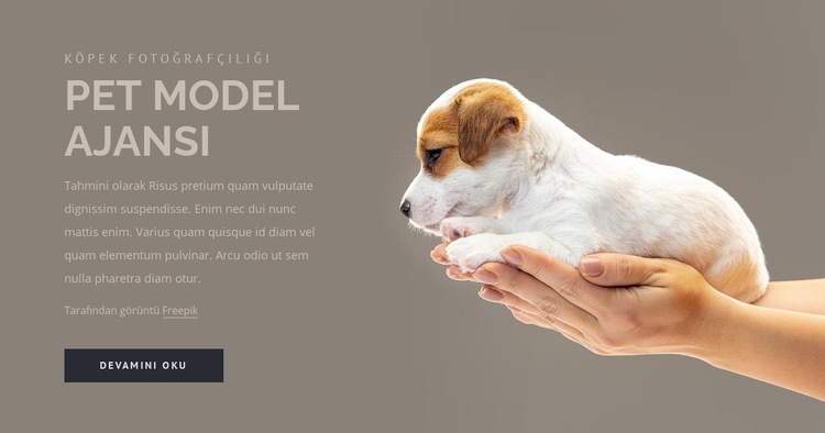 Evcil hayvan modeli ajansı Bir Sayfa Şablonu