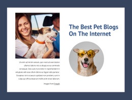 Best Homepage Design For The Best Pet Blogs