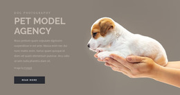 Pet Model Agency Business Services