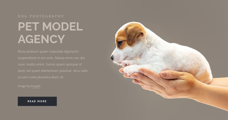 Pet model agency Website Mockup