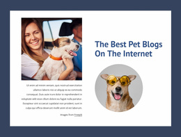 The Best Pet Blogs Pet Shelter