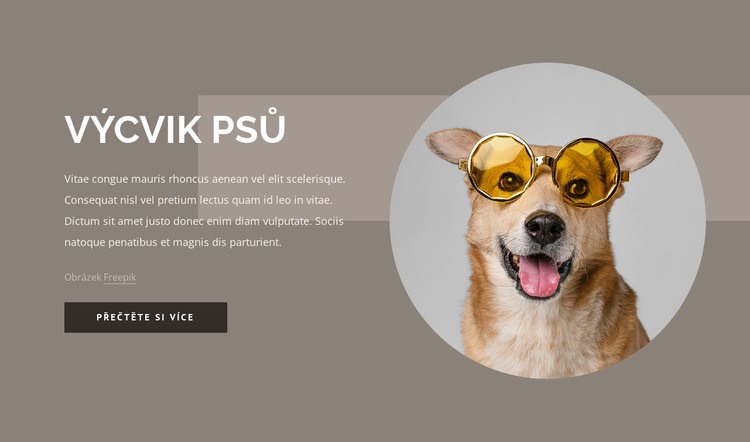 Tipy na výcvik psů Téma WordPress