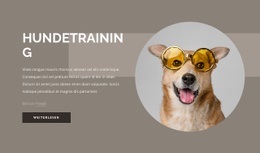 Tipps Zum Hundetraining Bootstrap HTML