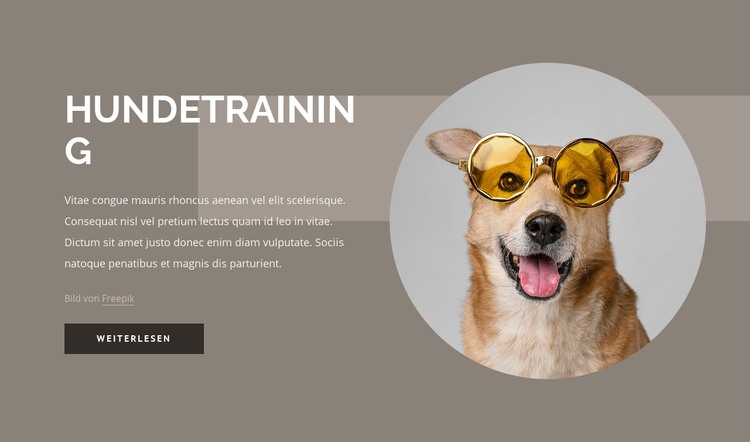 Tipps zum Hundetraining HTML-Vorlage