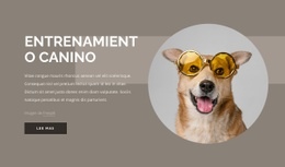 Diseño De Sitio Web Para Consejos De Adiestramiento De Perros