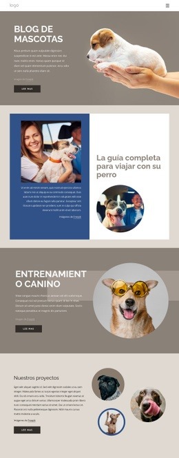 Blog De Mascotas: Maqueta De Sitio Web Creativo Multipropósito