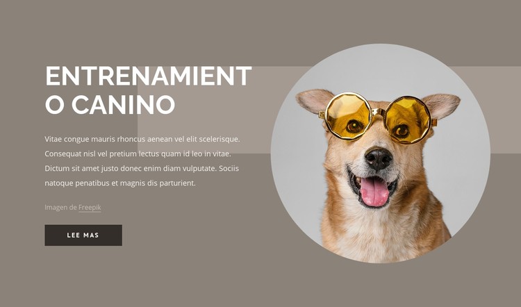 Consejos de adiestramiento de perros Plantilla CSS