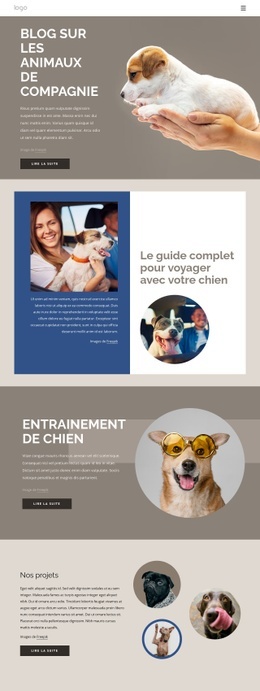 Une Conception De Site Web Exclusive Pour Blog Sur Les Animaux De Compagnie