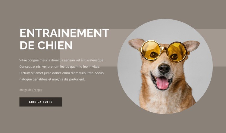 Conseils de dressage de chien Maquette de site Web