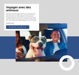 CSS Gratuit Pour Voyager Avec Des Animaux