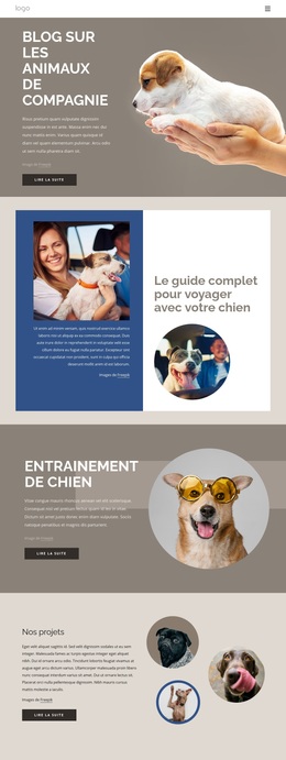 Blog Sur Les Animaux De Compagnie