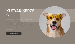 Kutyakiképzési Tippek - HTML Oldalsablon