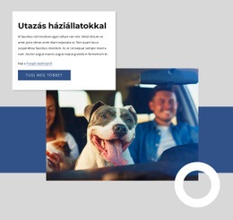 Ingyenes CSS Utazás Háziállatokkal Számára