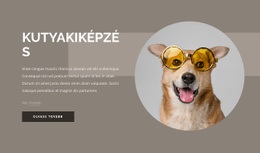 Kutyakiképzési Tippek Gyönyörű Színes Kollekciók