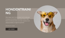 Trainingstips Voor Honden - HTML-Paginasjabloon