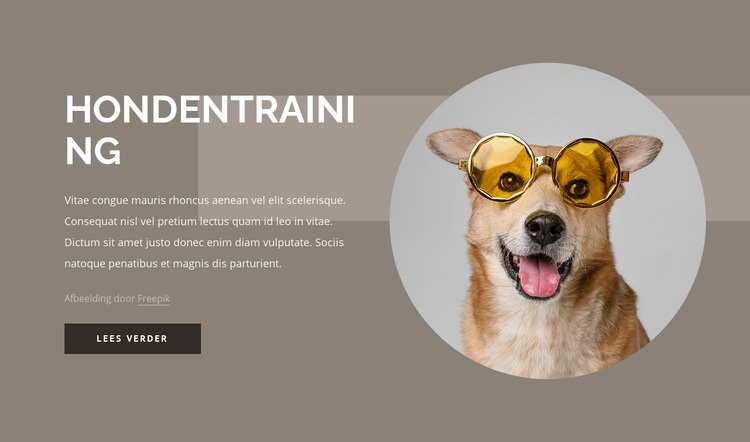 Trainingstips voor honden Html Website Builder