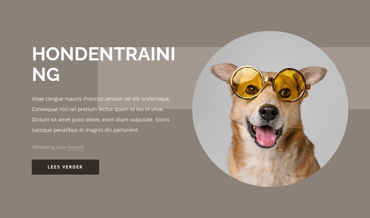 Trainingstips voor honden HTML5-sjabloon