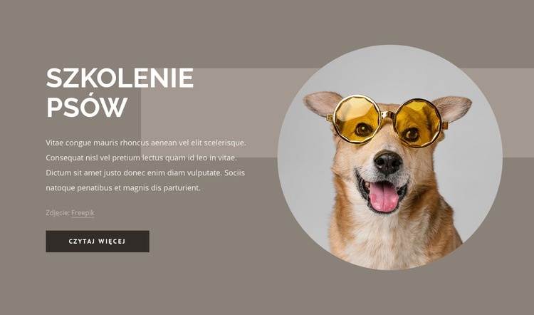 Wskazówki dotyczące szkolenia psów Makieta strony internetowej
