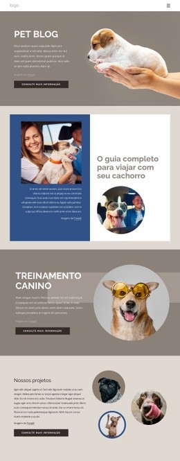 Pet Blog - Maquete Criativa De Site Multifuncional