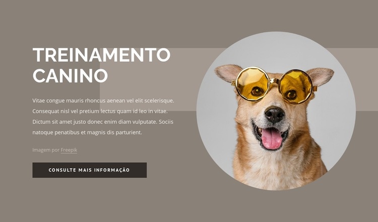 Dicas de treinamento de cães Maquete do site