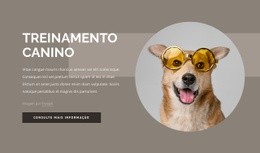 CSS Grátis Para Dicas De Treinamento De Cães