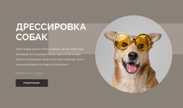 Советы По Дрессировке Собак - Website Creation HTML