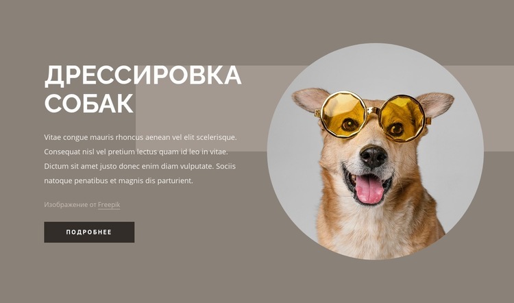 Советы по дрессировке собак Конструктор сайтов HTML