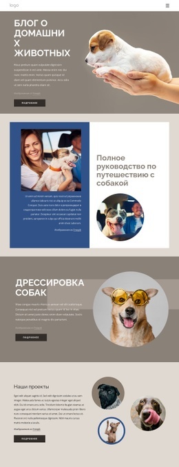 Блог О Домашних Животных Адаптивный Шаблон HTML5
