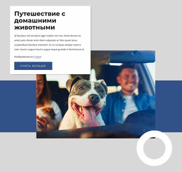 Готовый К Использованию Шаблон Joomla Для Путешествие С Домашними Животными