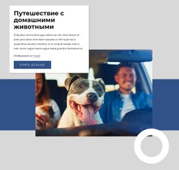 Путешествие С Домашними Животными – Один Шаблон Страницы Для Любого Устройства