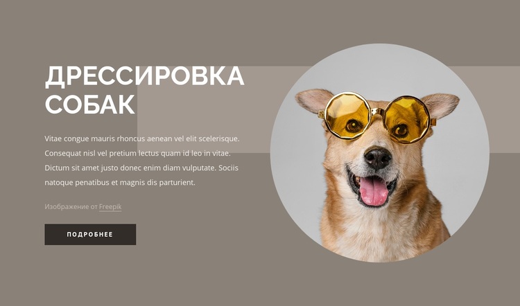 Советы по дрессировке собак WordPress тема