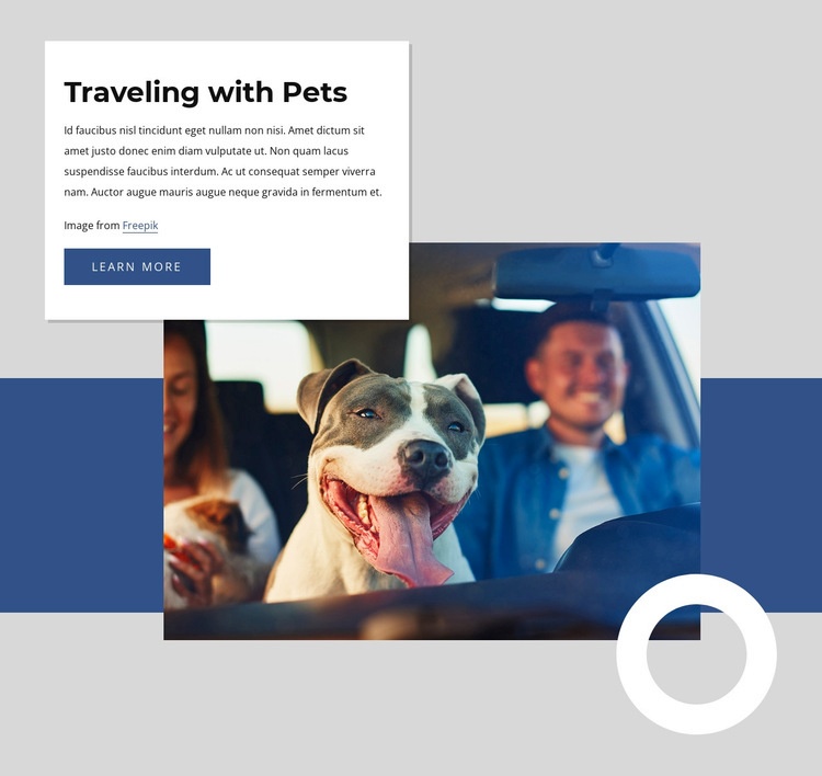 Traveling with pets Web Page Design