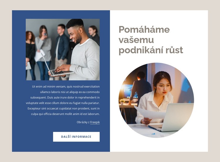 Pomáhá podnikům růst Šablona CSS