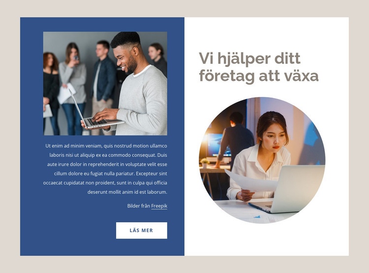 Hjälper företag att växa Hemsidedesign