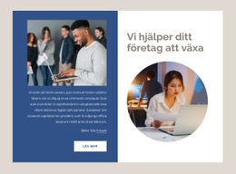 Temalayoutfunktion För Hjälper Företag Att Växa