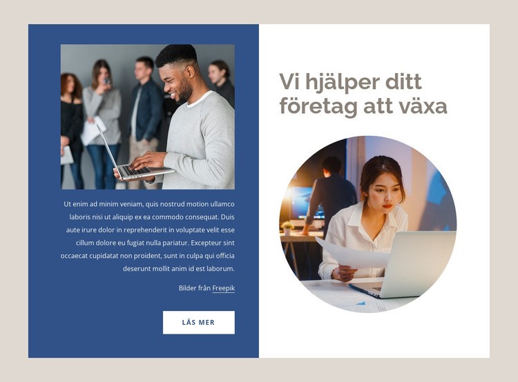 Hjälper företag att växa WordPress -tema