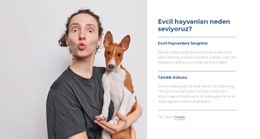 Evcil Hayvanları Seviyoruz - Güzel HTML5 Şablonu