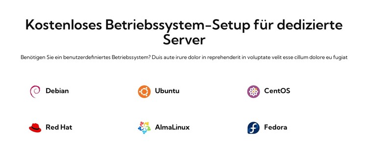 Kostenloses Betriebssystem-Setup CSS-Vorlage