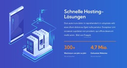 Schnelle Hosting-Lösungen