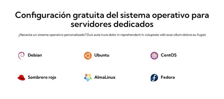 Configuración gratuita del sistema operativo Maqueta de sitio web