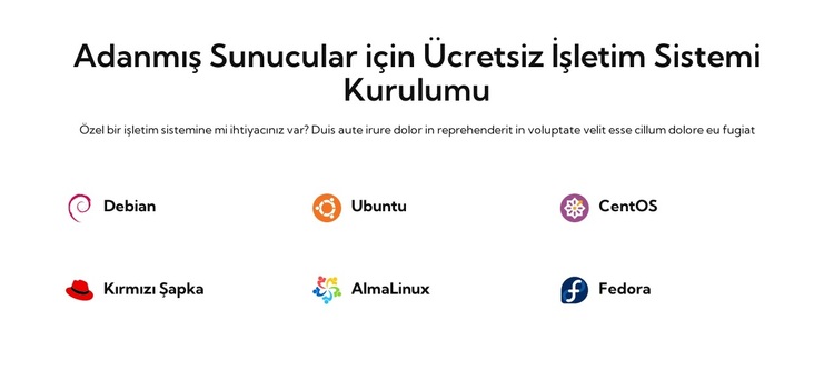 Ücretsiz işletim sistemi kurulumu WordPress Teması