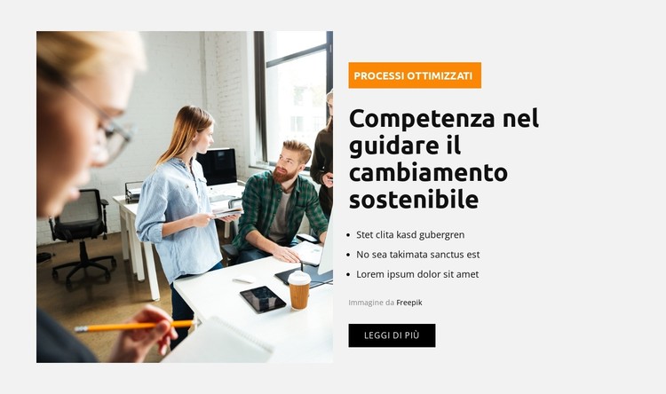 Processi Ottimizzati Modello CSS